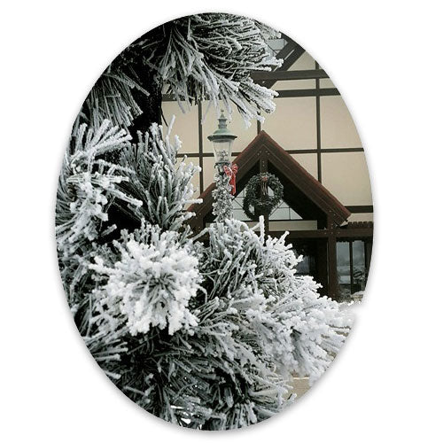 2023 Annual Christmas Ornament