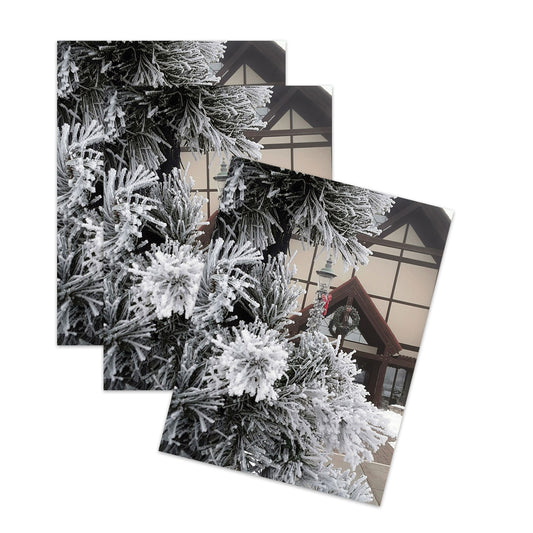 2023 Annual Christmas Card - Pack of 10