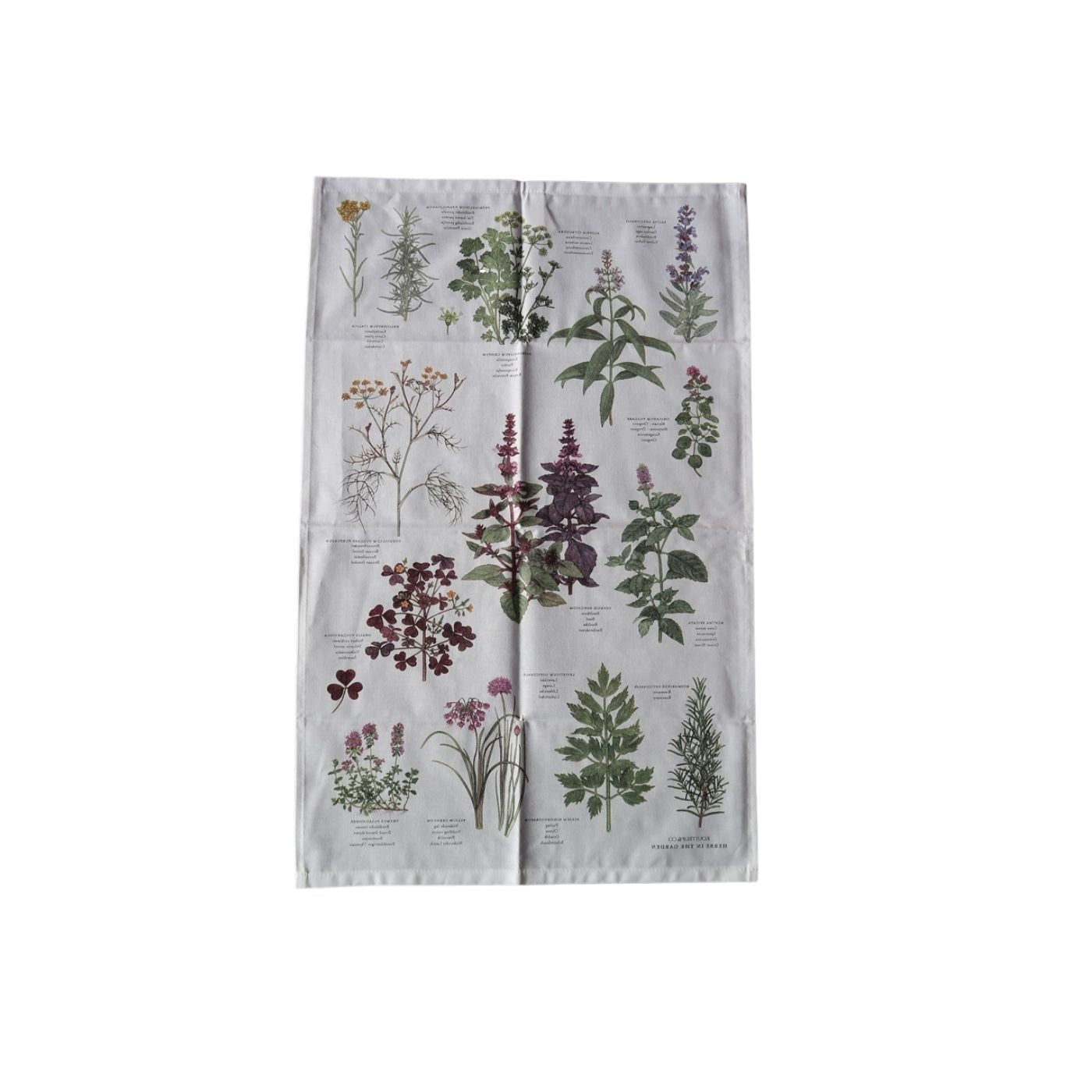 Herbs Organic Tea Towel