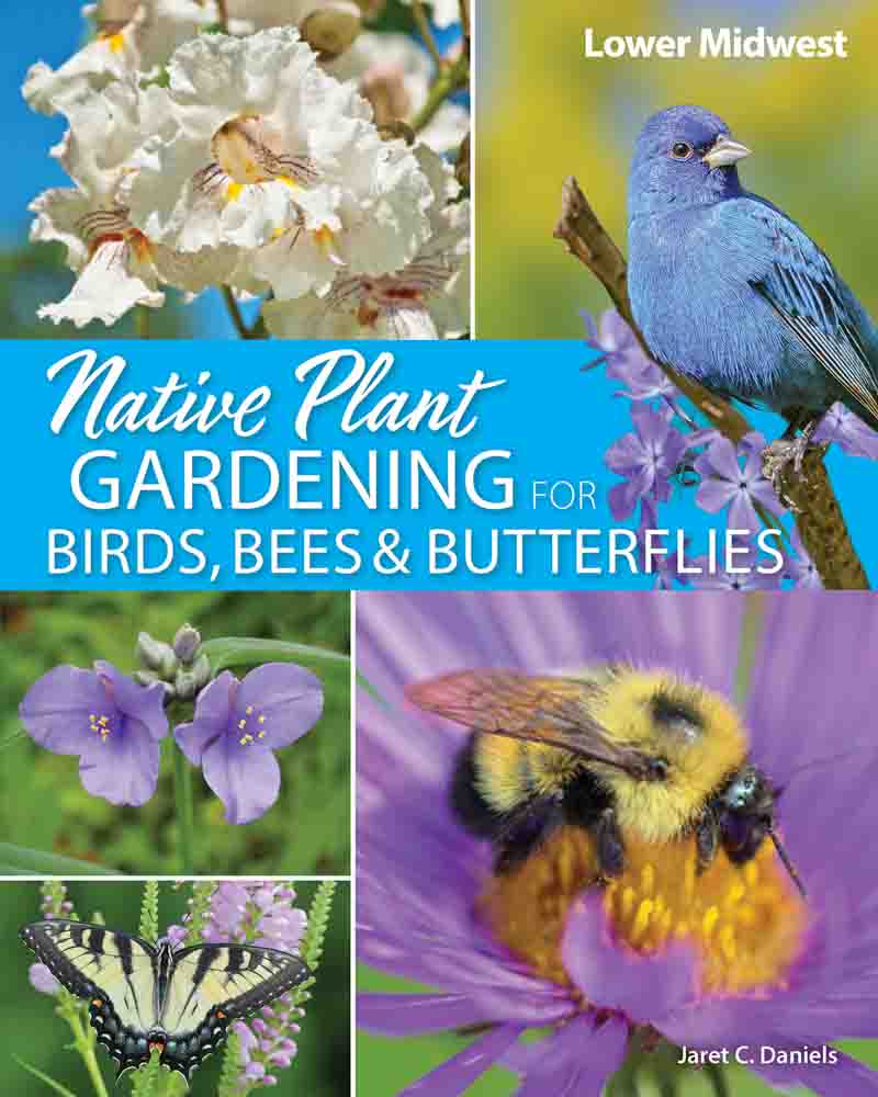 Native Plant Gardening for Birds, Bees, & Butterflies - Lower Midwest