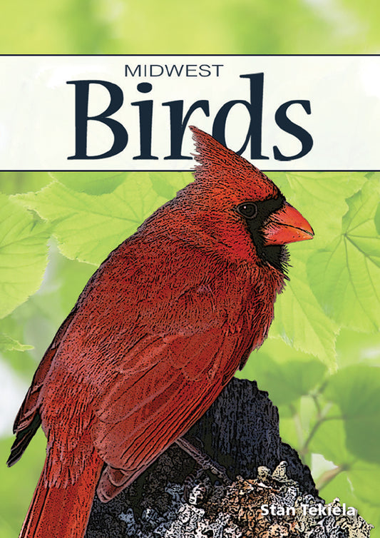 Midwest Birds Playing Cards