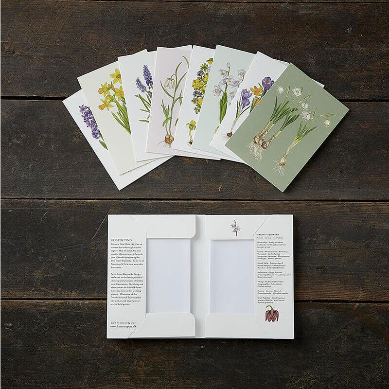 Spring Flowers (Forårsblomster) Notecards - Set of 8