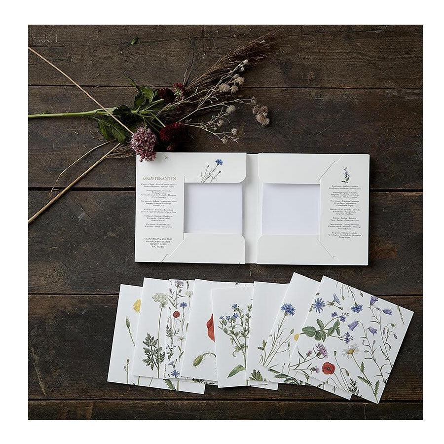 Wildflowers (Hedgerow) Notecards - Set of 8