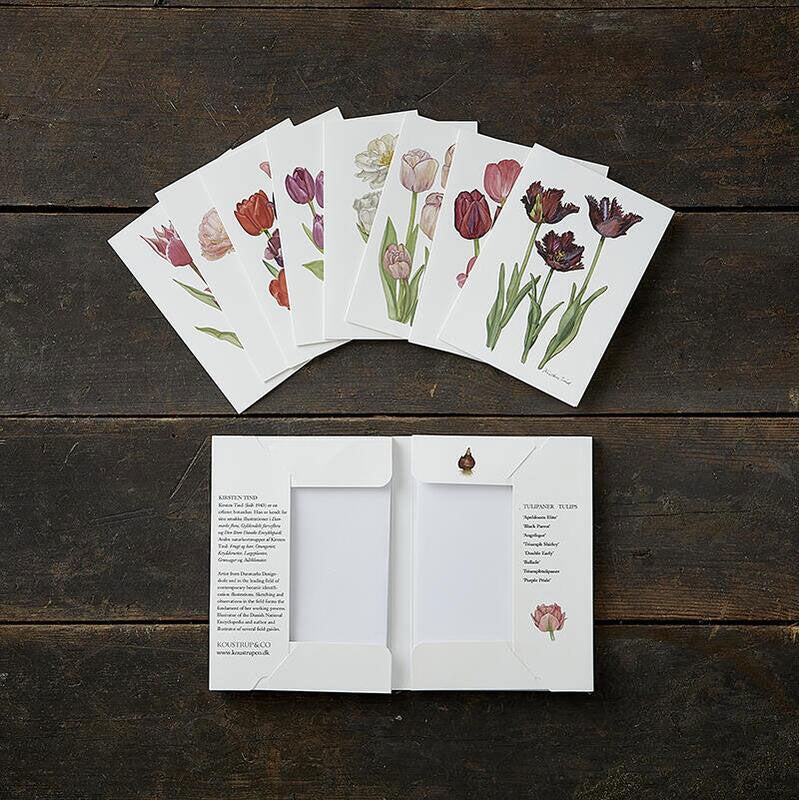 Tulips (Tulipaner) Notecards - Set of 8