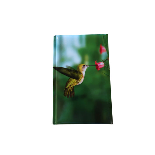 Hummingbird Blank Journal - Unlined