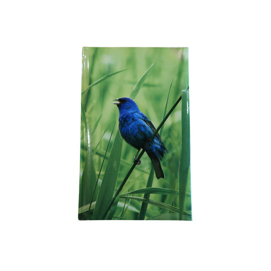 Indigo Bunting Blank Journal - Unlined