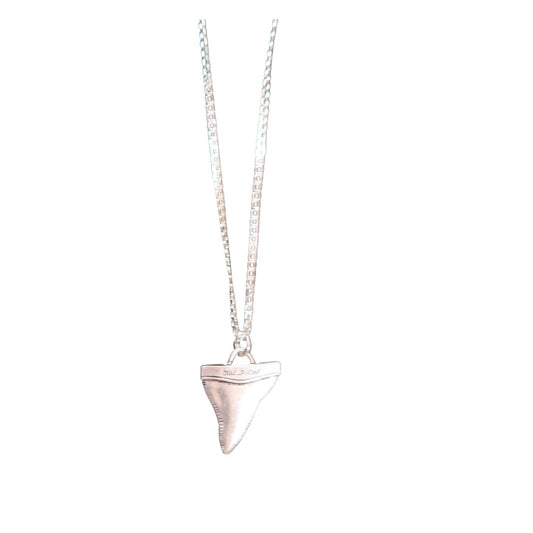 Shark Tooth Necklace