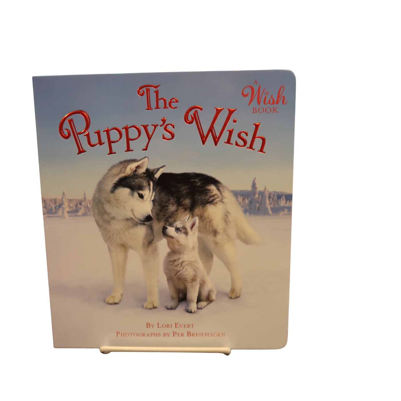 The Puppy's Wish, Boardbook