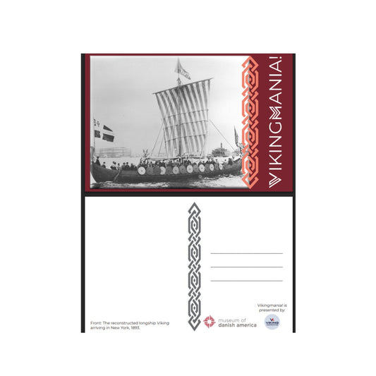 Vikingmania Postcard