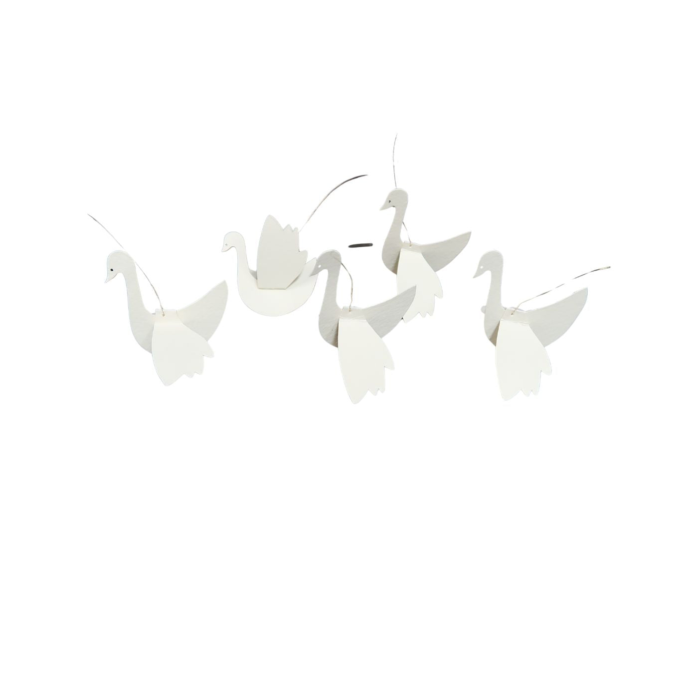 Proongily Swans, 5 Pack