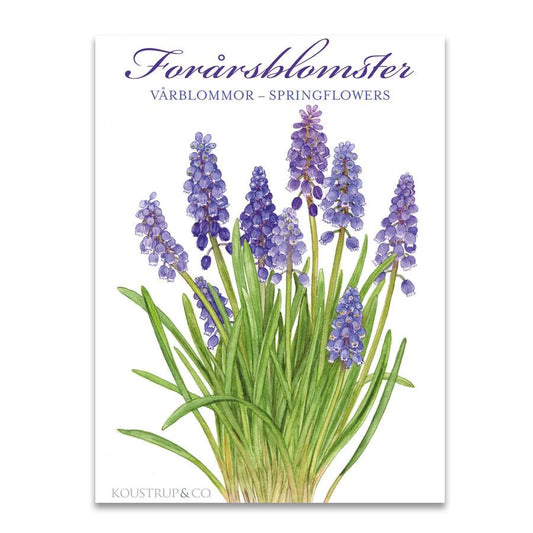 Spring Flowers (Forårsblomster) Notecards - Set of 8