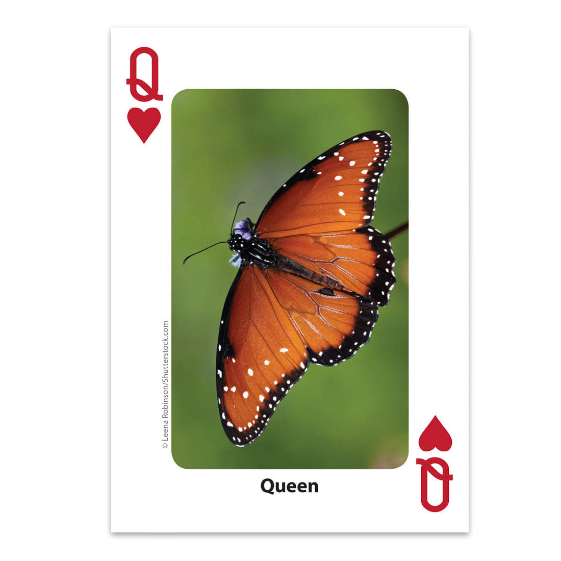 Bees & Butterflies Playing Cards