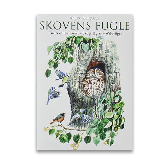 Birds of the Forest (Skovens Fugle) Notecards - Set of 8
