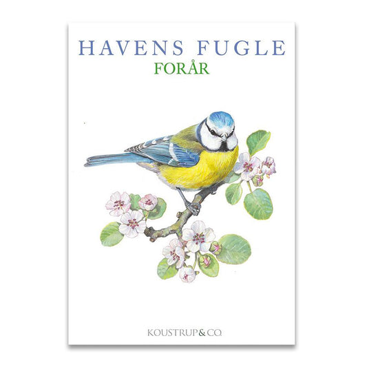 Garden Birds (Havens Fugle) Notecards - Set of 8