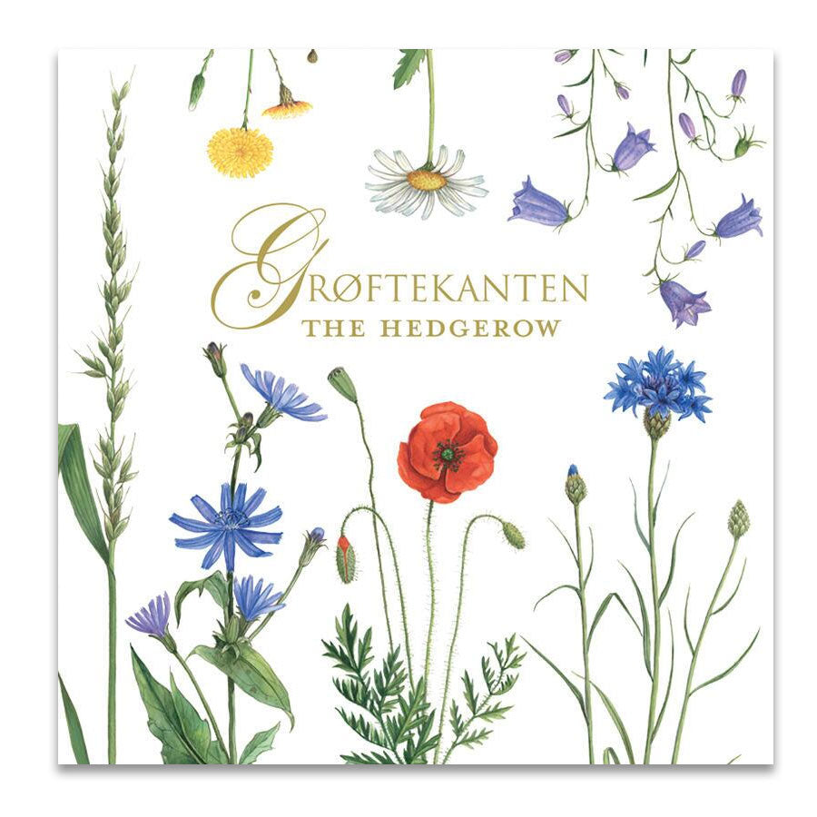 Wildflowers (Hedgerow) Notecards - Set of 8