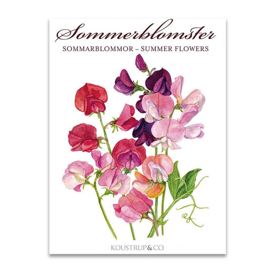 Summer Flowers (Sommerblomster) Notecards - Set of 8