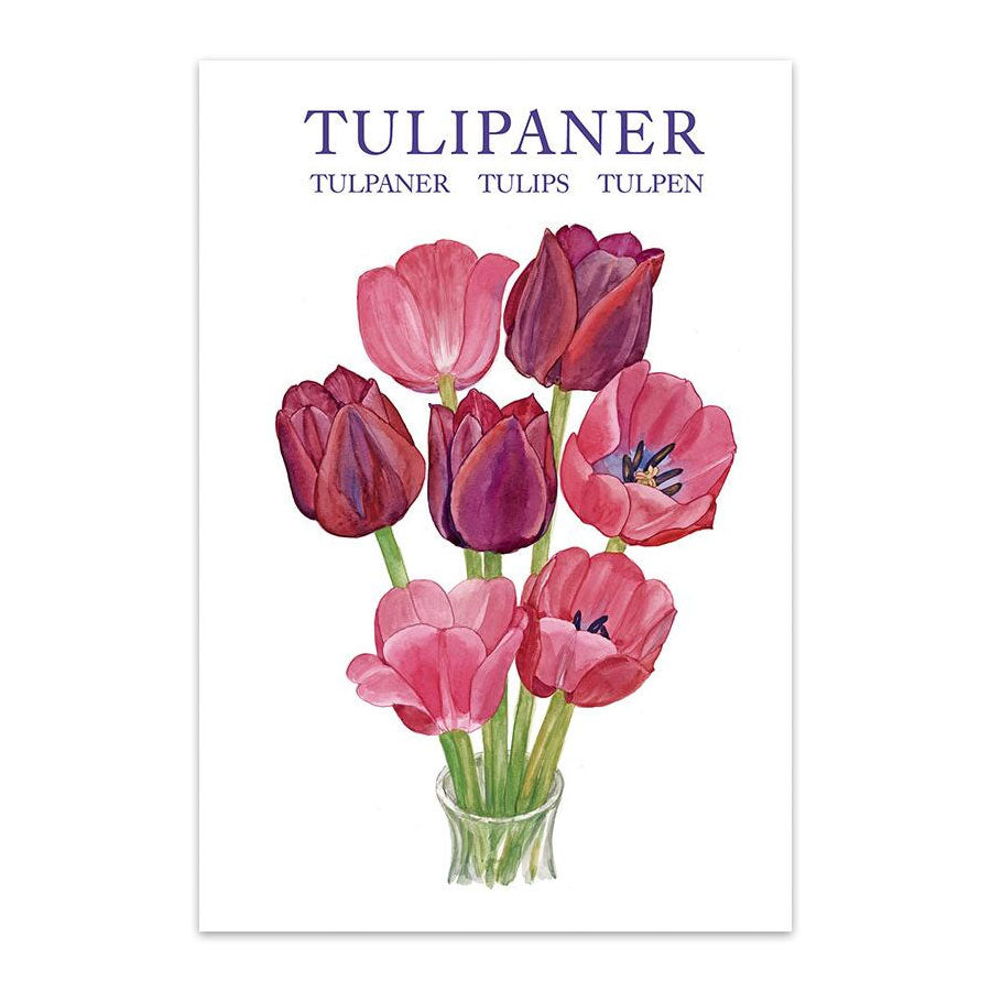 Tulips Note Tulips (Tulipaner) Notecards - Set of 8 – Museum of Danish America ...